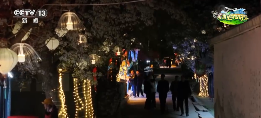 不想走，还想来！“赏花+采摘+农家饭+夜游”乡村农趣新体验点亮春日经济