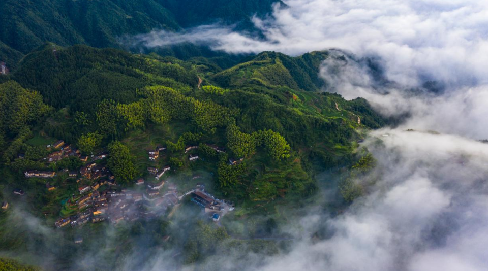陈家铺村