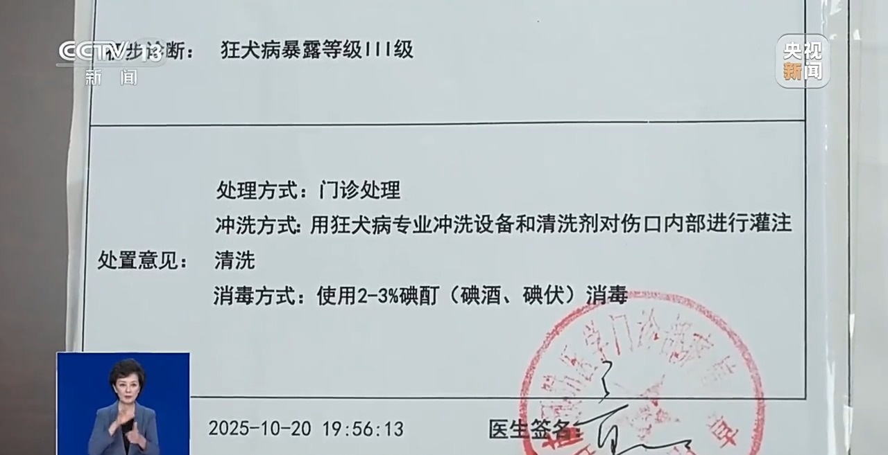 孩子店内逗猫被咬伤，责任谁来担？法院判了