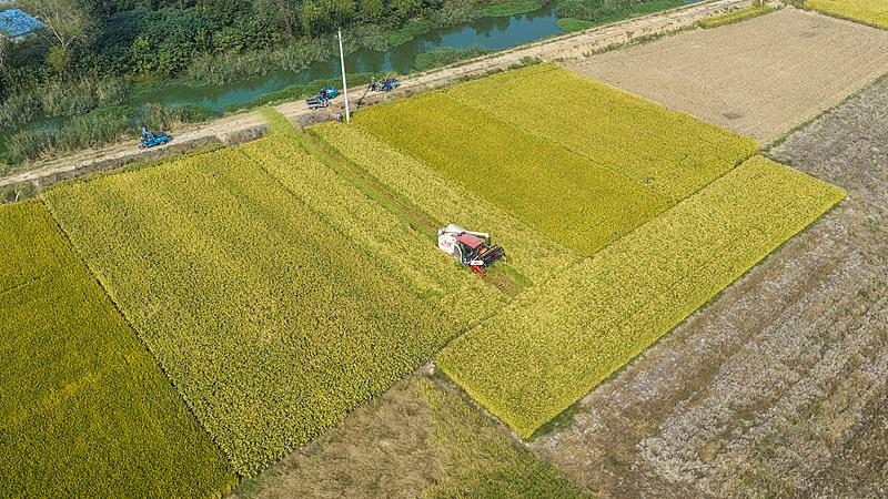 农机油费每亩多花7到10元 农户种粮成本稳住了吗？
