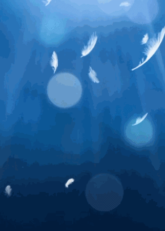 我喜欢天鹅那优美的线条和仪态,但我不希望天鹅是被养在池塘,我希望