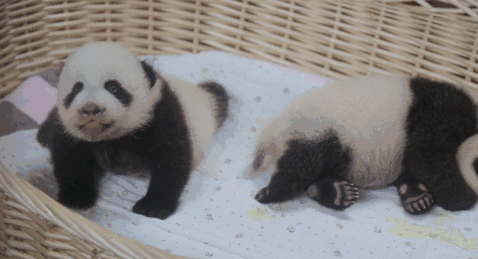 478_259gif 动态图 动图