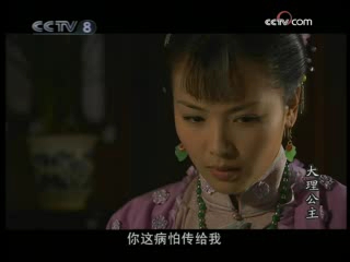 大理公主 20集