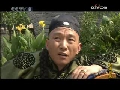 岭南药侠 3集