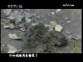 凌汤圆 8集
