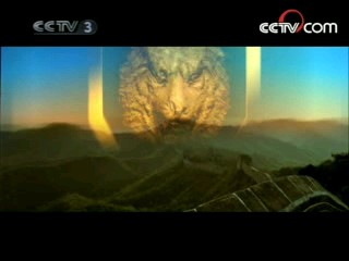 沙场点兵 14集