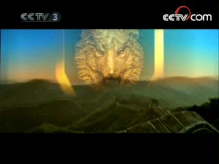 沙场点兵 20集