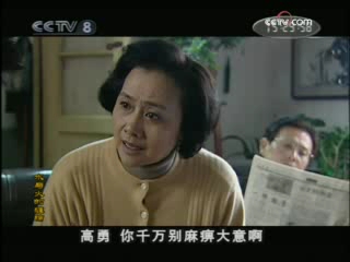 水与火的缠绵 12集