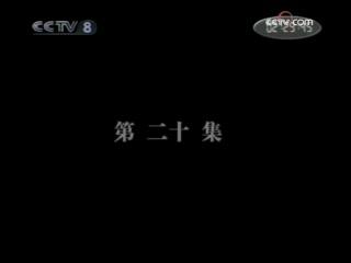大宋奇案 20集