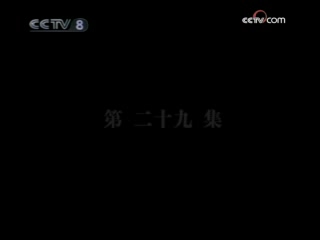 大宋奇案 29集