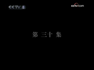 大宋奇案 30集
