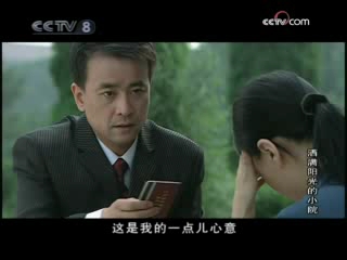 洒满阳光的小院 7集