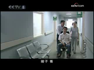 洒满阳光的小院 10集