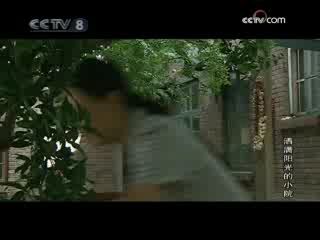 洒满阳光的小院 14集