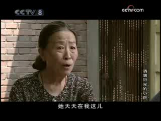 洒满阳光的小院 20集