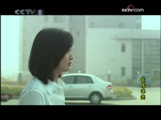 爱情海滨 20集