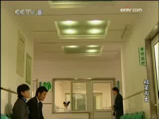 破茧而出 20集