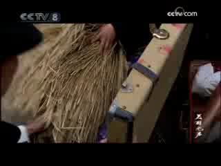 美丽无声 14集