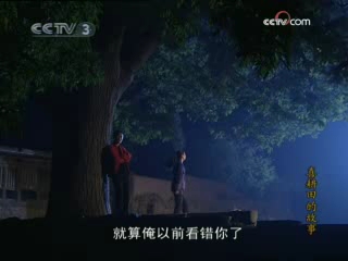 喜耕田的故事 15集
