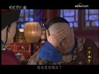 一帘幽梦(2005) 14集