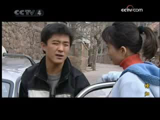 情归 7集