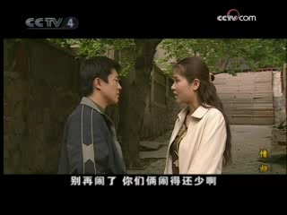 情归 9集