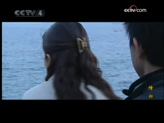 情归 11集