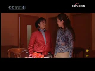情归 10集