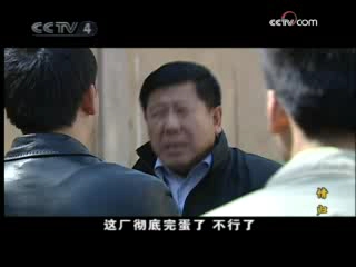 情归 12集