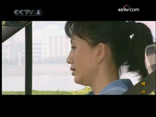 情归 19集