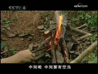 自护智多星之人小鬼大 17集
